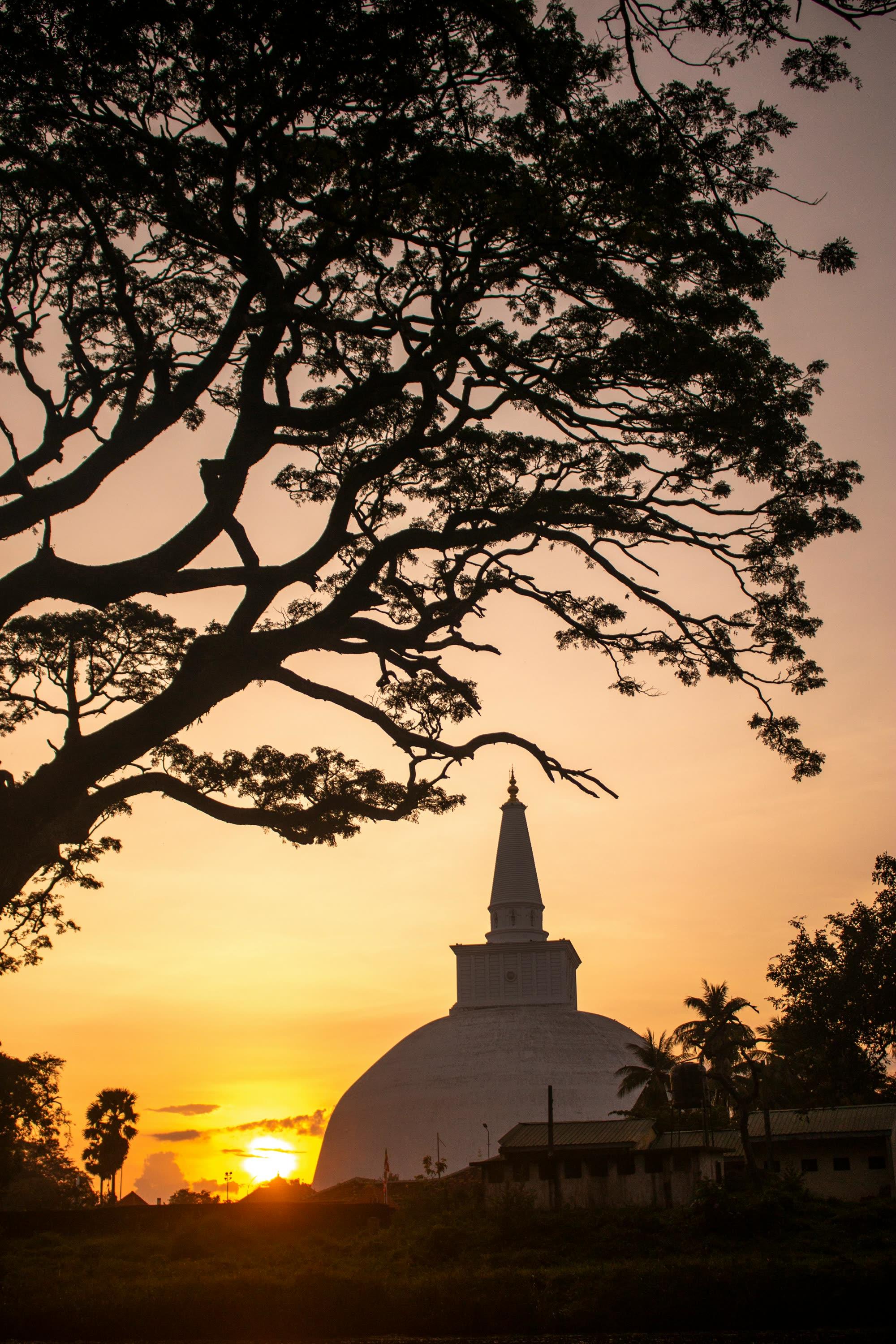 Anuradhapura Heritage Tour