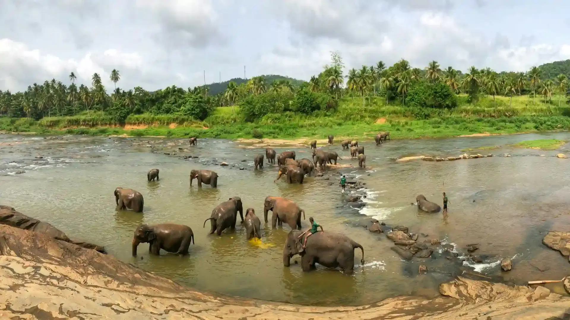 Moments with Pinnawala's Gentle Giants Moments with Pinnawala's Gentle Giants